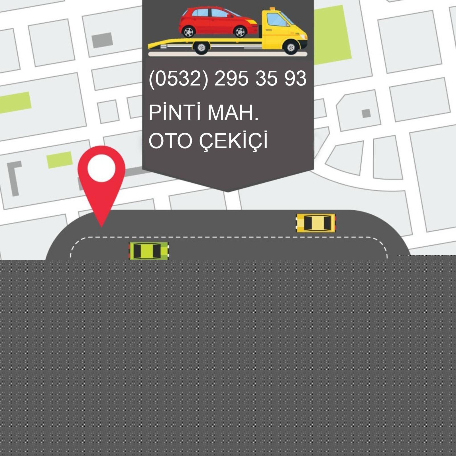 Pinti  Oto Çekici
